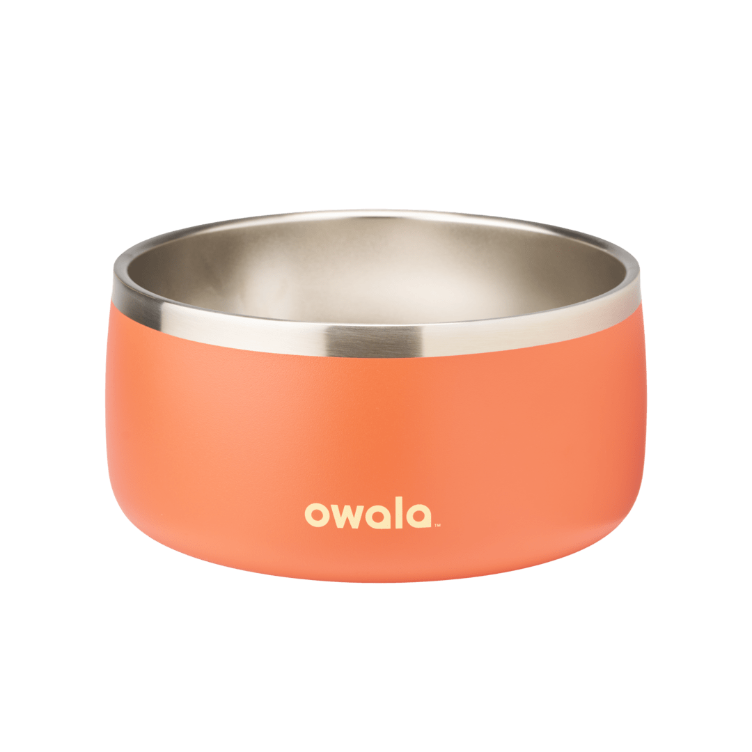 Pet Bowl P5