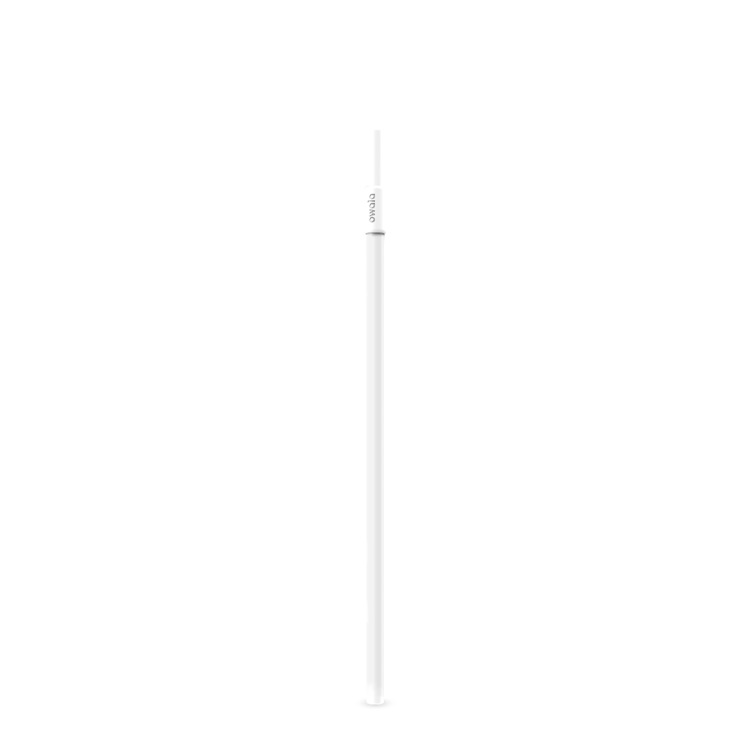 Replacement Straws C0