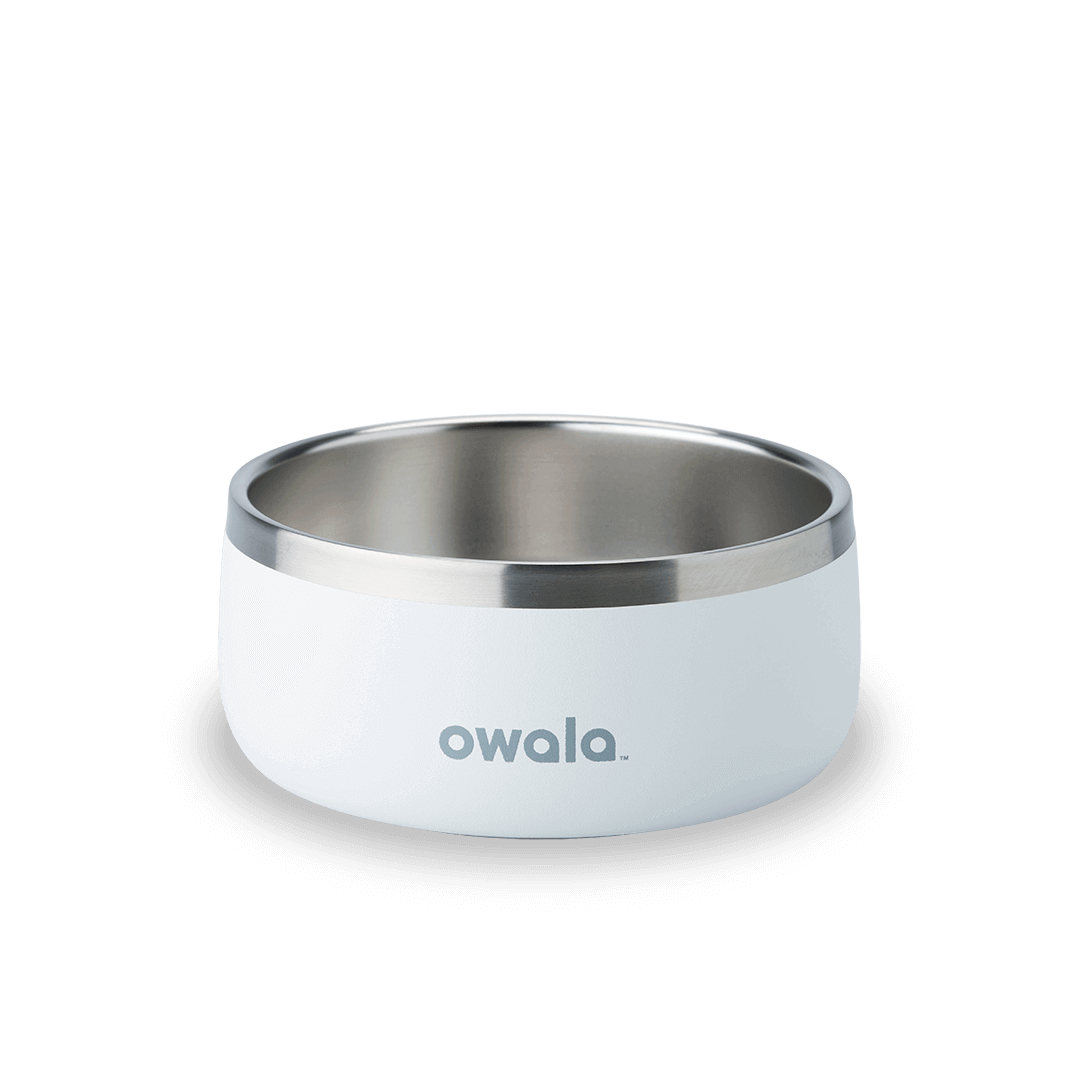 Pet Bowl P5