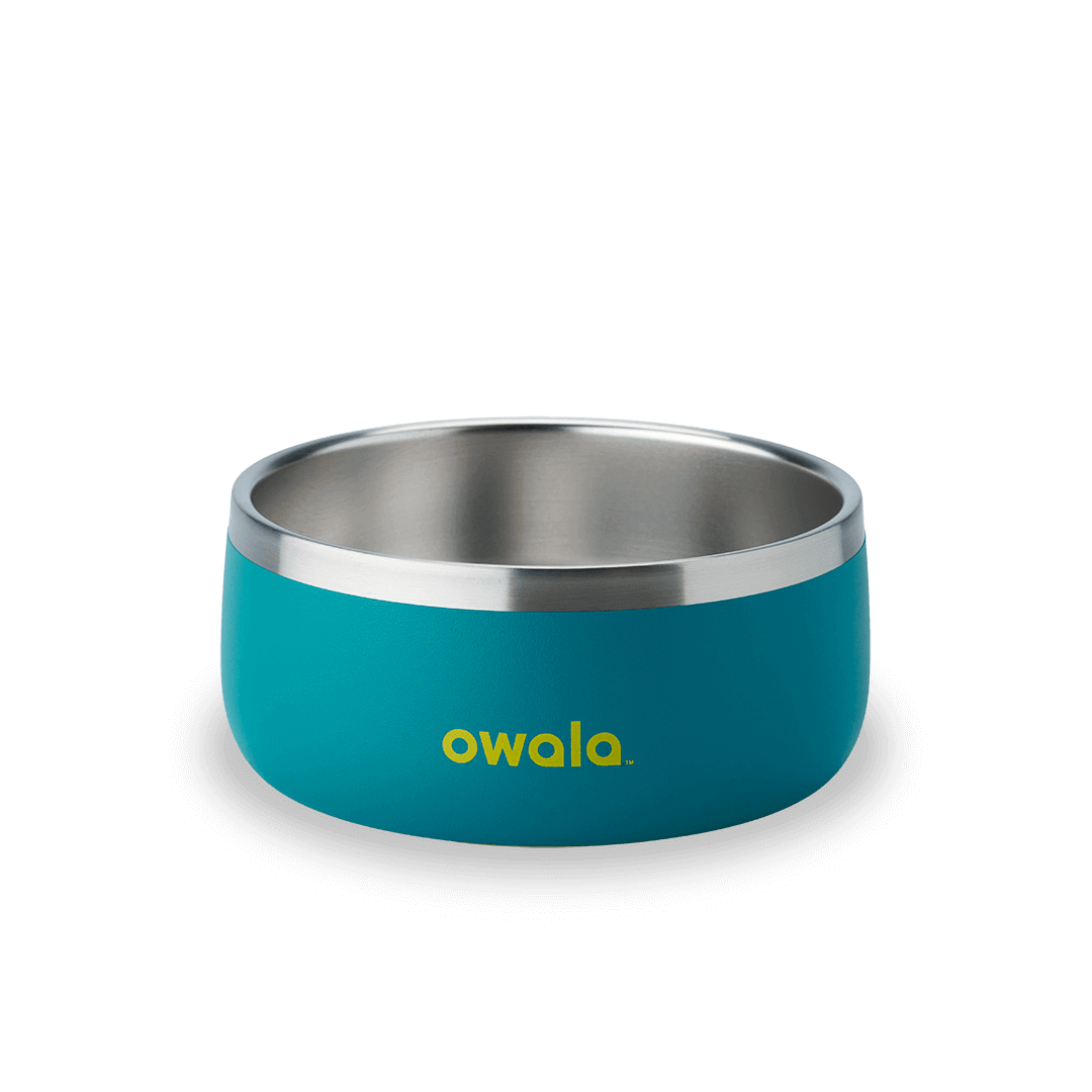 Pet Bowl P5