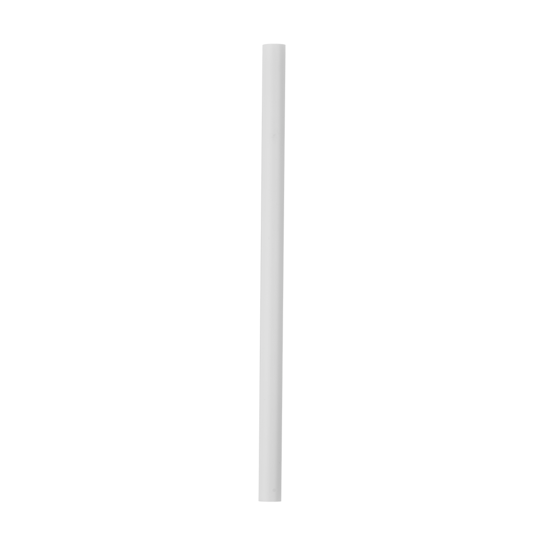 Replacement Straws C0